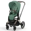 Cybex Priam - Rose Gold/Leaf Green -Baby Products Series 1 9d88298b 3575 44a8 b801 514e91957cf3